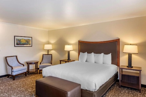 Best Western Plus Royal Oak Hotel image 1